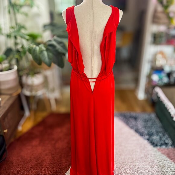 Vintage 1970s Ayres Unlimited Red Maxi Dress | Greek Goddess | Size 10 - Picture 11 of 16